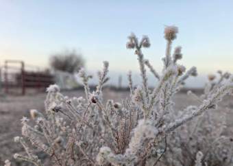 LESERSFOTO | Winter-sprokiesland